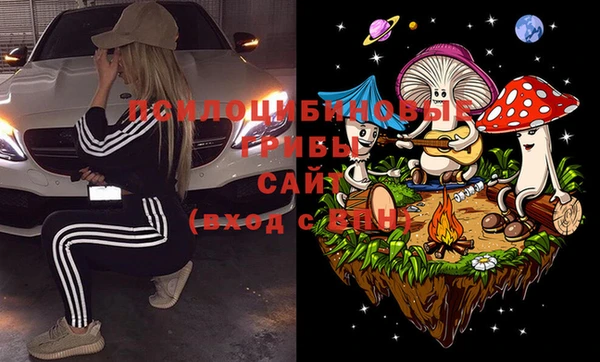 бошки Алексеевка