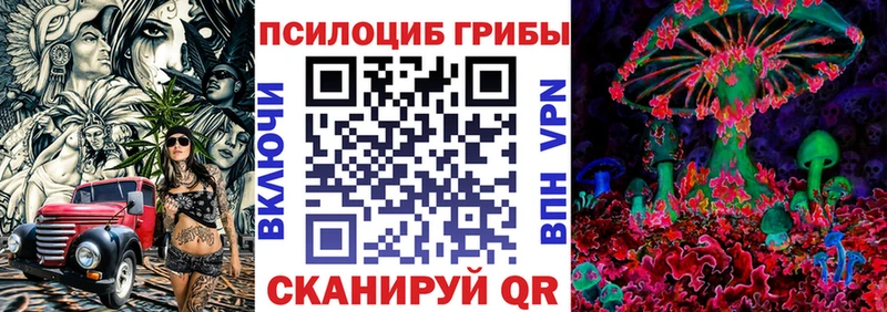 Галлюциногенные грибы ЛСД  omg   Новая Ладога 