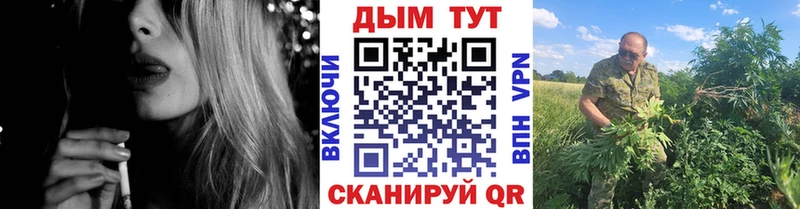 Конопля индика Новая Ладога