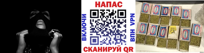 нарко площадка как зайти Новая Ладога Шишки марихуана Ganja